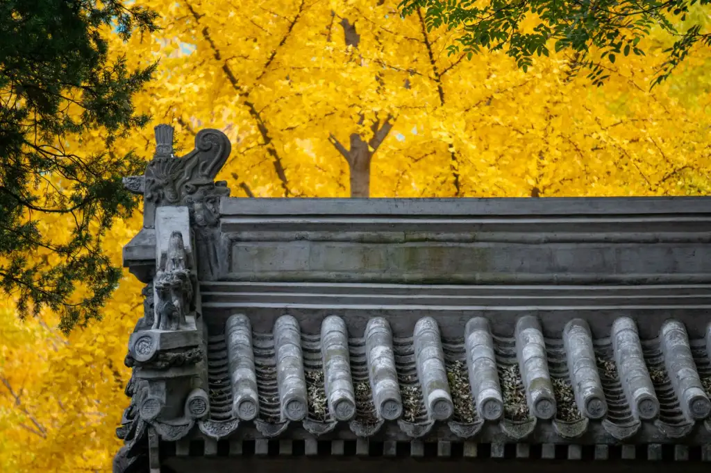 武汉市小蝗虫科技有限公司烟气分析系统在工业废气排放监测中的应用