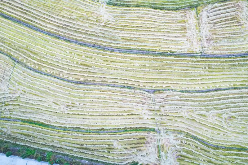烟气分析仪在工业废气排放监测中的关键作用与技术要点