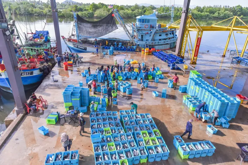 火电厂烟气排放连续监测系统（CEMS）选型与配置指南