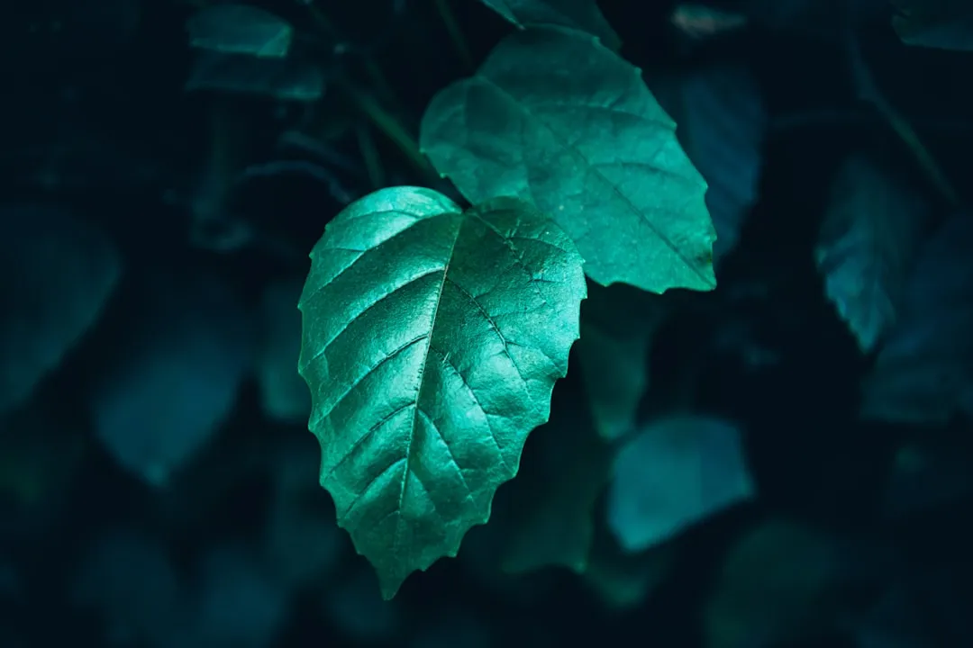 烟气分析仪在工业废气监测中的典型应用与选型要点